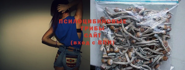 ПСИЛОЦИБИНОВЫЕ ГРИБЫ Наволоки