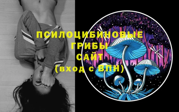 ПСИЛОЦИБИНОВЫЕ ГРИБЫ Наволоки