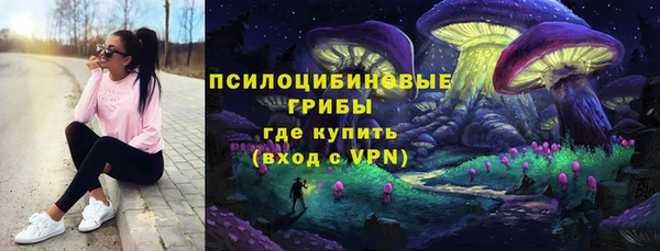 ПСИЛОЦИБИНОВЫЕ ГРИБЫ Наволоки