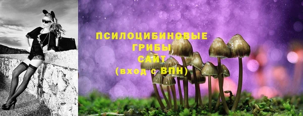 ПСИЛОЦИБИНОВЫЕ ГРИБЫ Наволоки