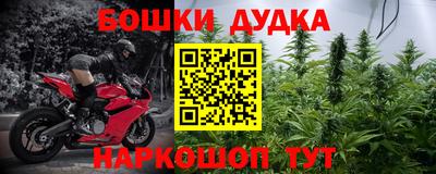 прущие грибы Гатчина