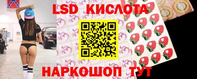прущие грибы Гатчина