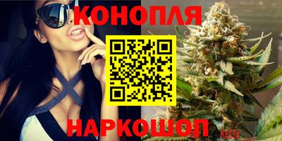 ешки Гай