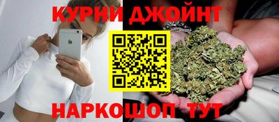прущие грибы Гатчина