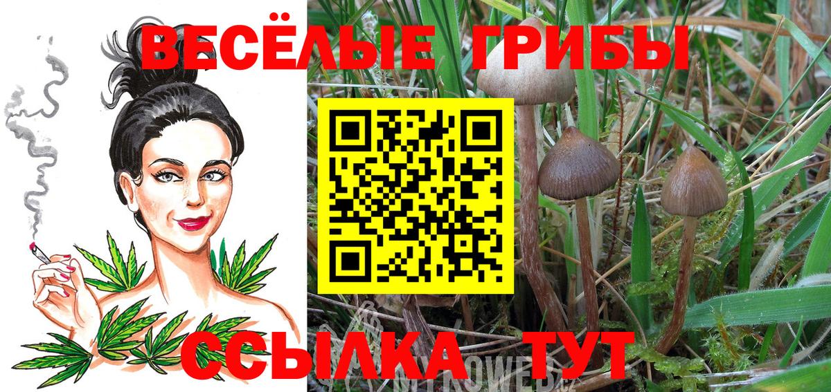 Галлюциногенные грибы GOLDEN TEACHER  Вход с VPN  Подольск  Галлюциногенные грибы прущие грибы 